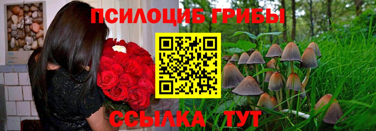 Псилоцибиновые грибы ЛСД  Вход с VPN  Галлюциногенные грибы MAGIC MUSHROOMS  Малоярославец 